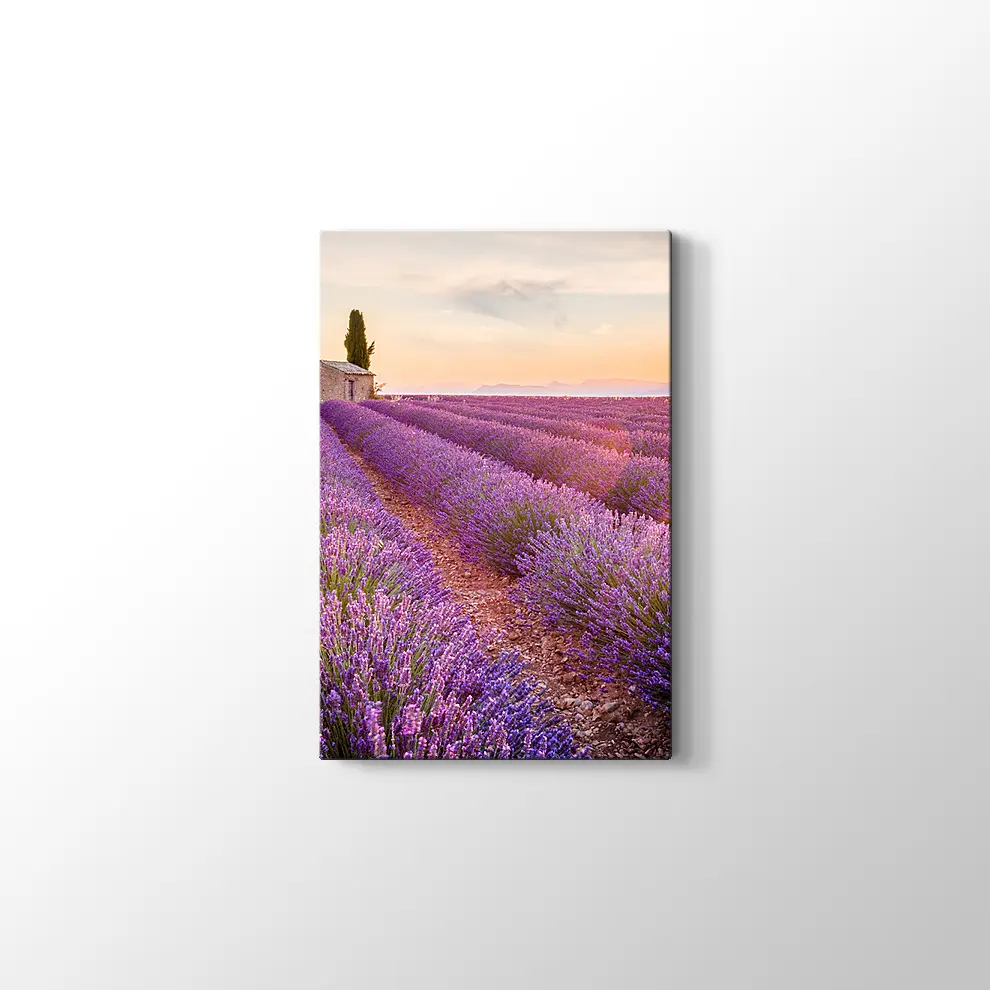 Günbatımında Lavanta Tarlası Kanvas Tablo