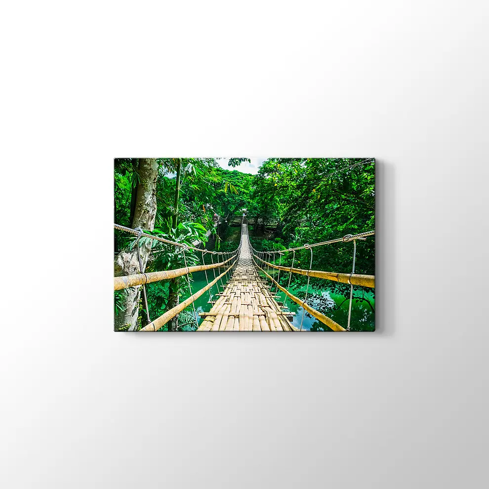 Filipinler Asma Köprü Kanvas Tablo