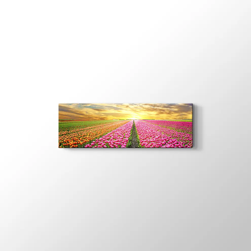 Lale Tarlası Kanvas Tablo