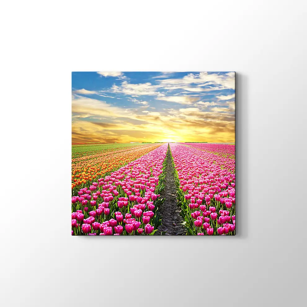 Lale Tarlası Kanvas Tablo