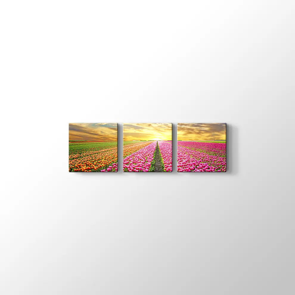 Lale Tarlası Kanvas Tablo
