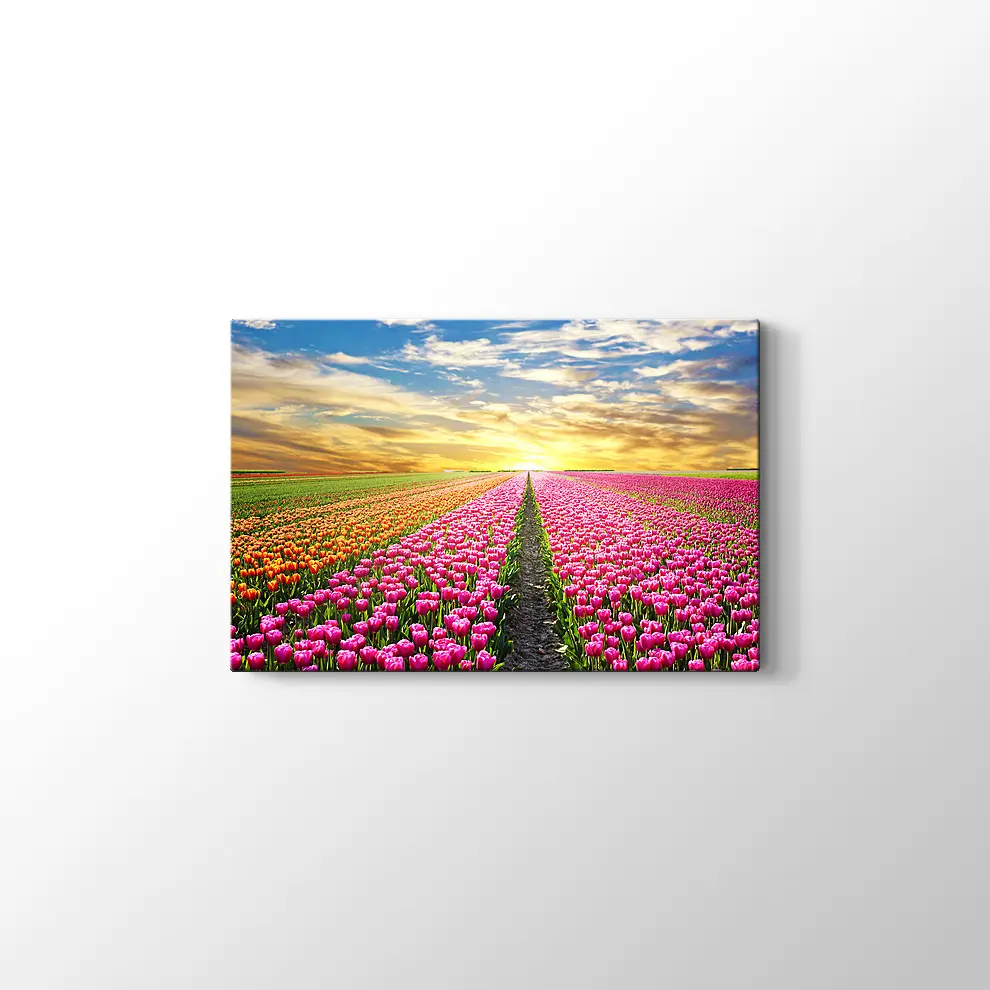Lale Tarlası Kanvas Tablo