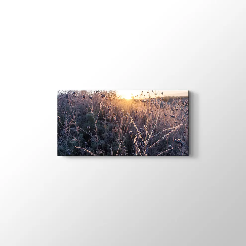 Çimlerin Üzerinde Şafak Kanvas Tablo