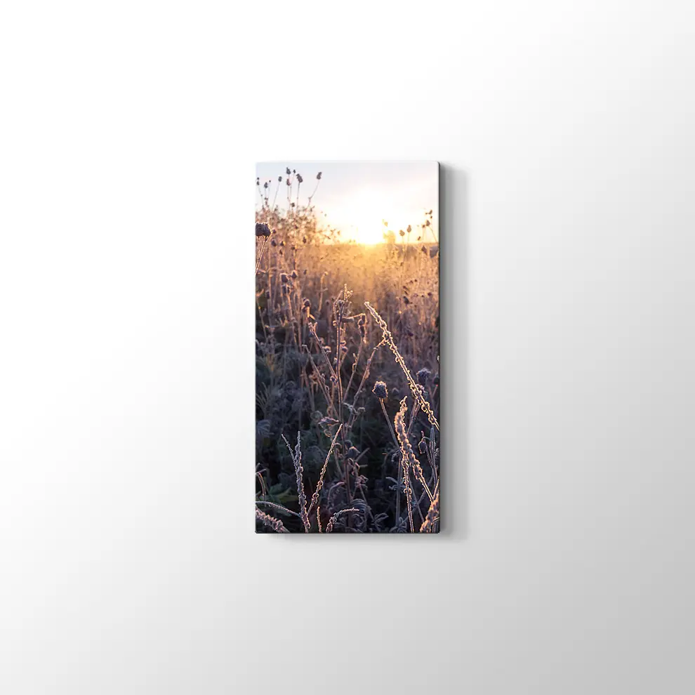 Çimlerin Üzerinde Şafak Kanvas Tablo