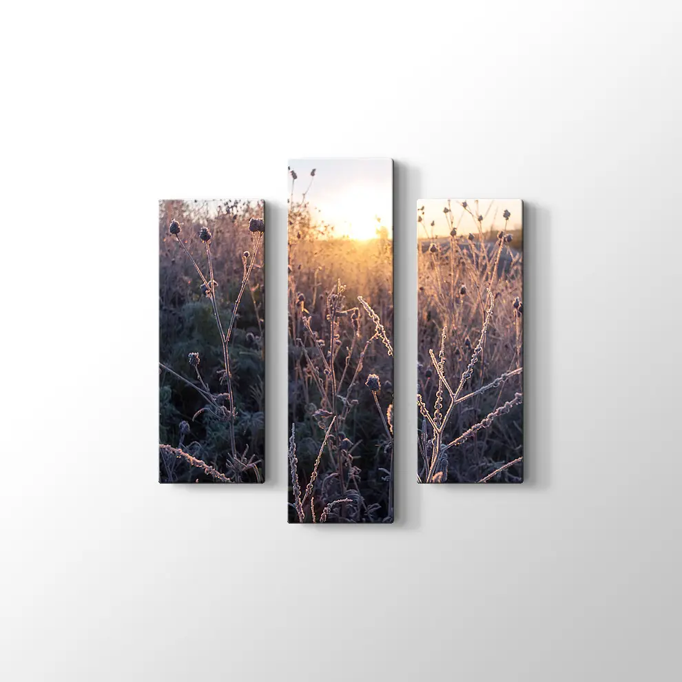 Çimlerin Üzerinde Şafak Kanvas Tablo