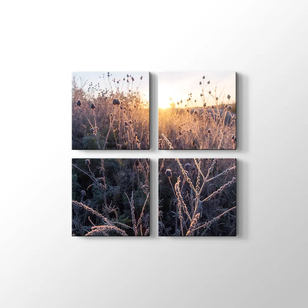 Çimlerin Üzerinde Şafak Kanvas Tablo