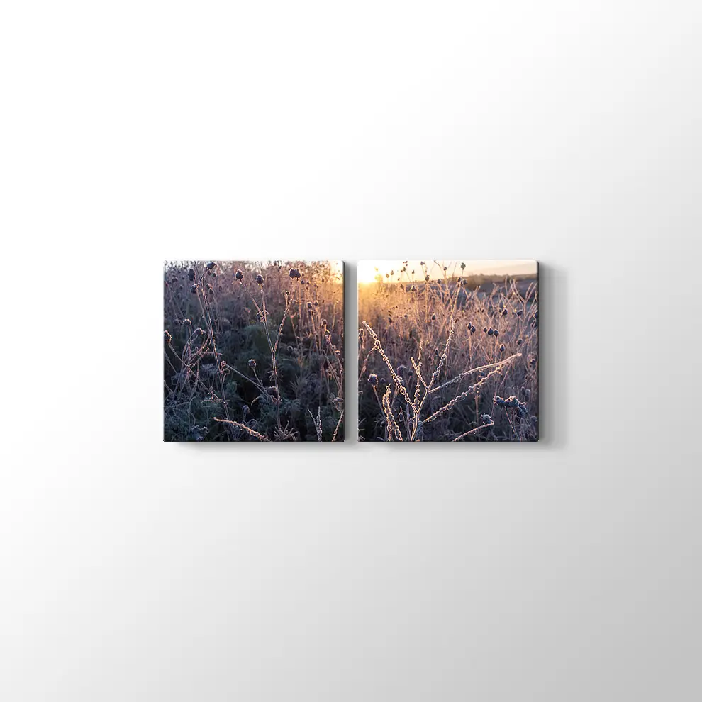 Çimlerin Üzerinde Şafak Kanvas Tablo