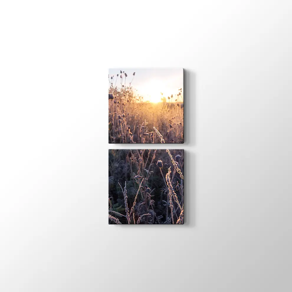 Çimlerin Üzerinde Şafak Kanvas Tablo