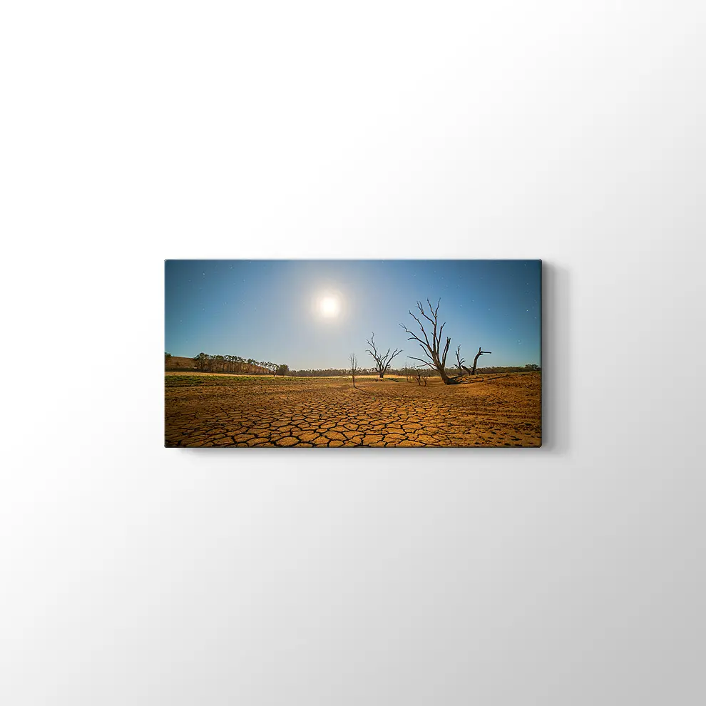 Kuraklık ve Çöl Kanvas Tablo