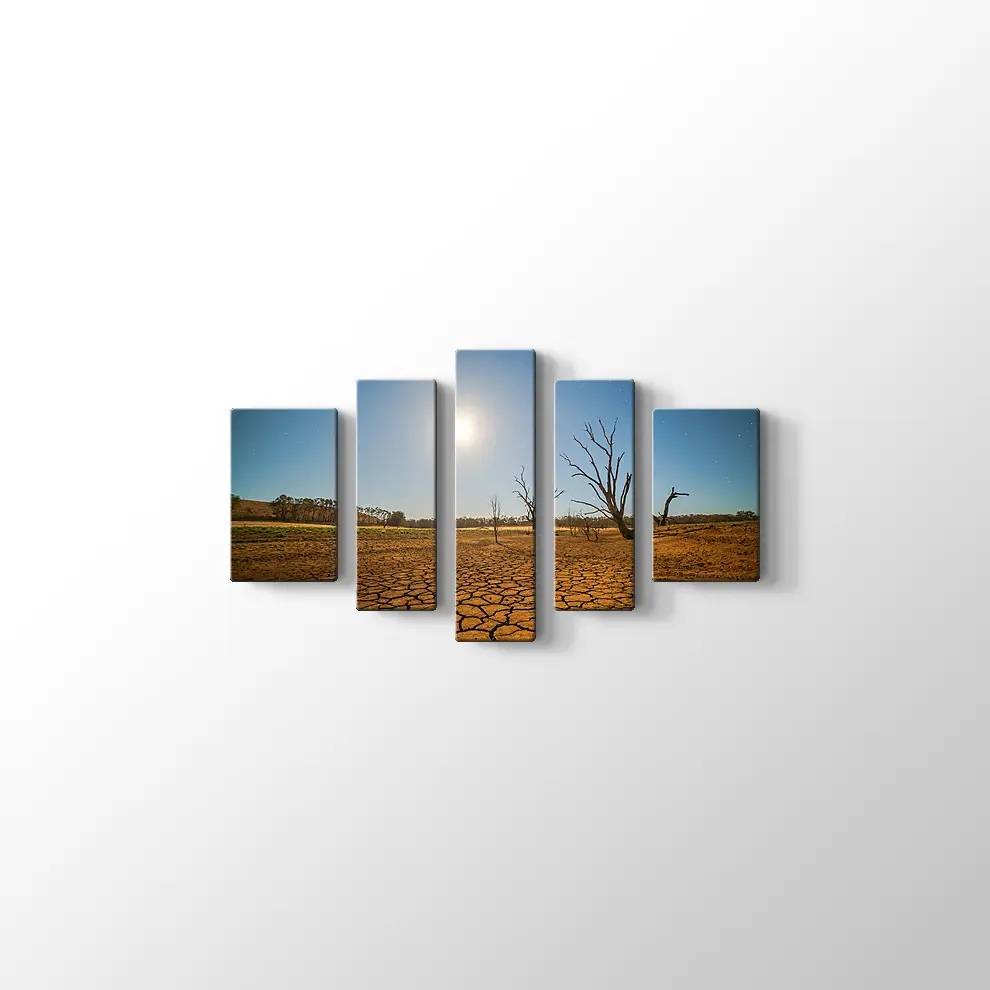 Kuraklık ve Çöl Kanvas Tablo