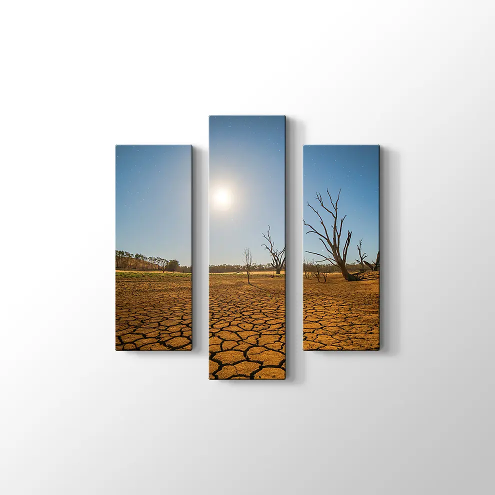 Kuraklık ve Çöl Kanvas Tablo