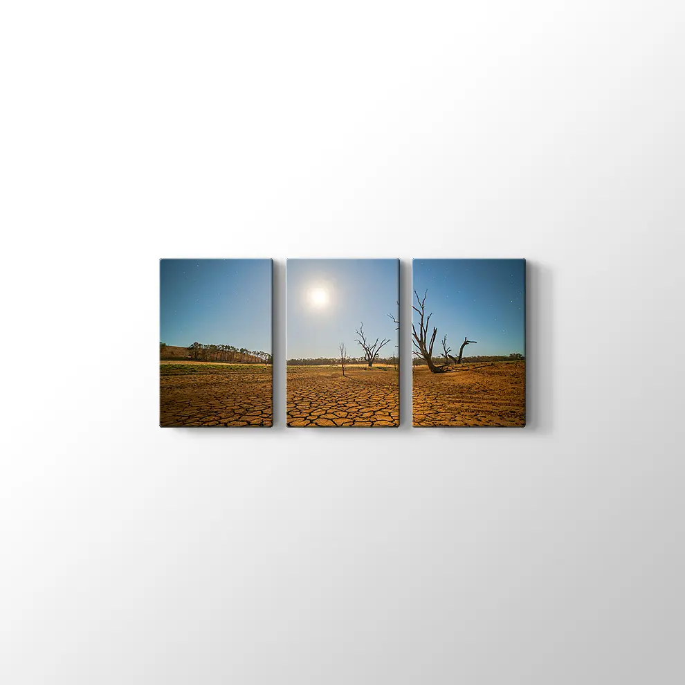 Kuraklık ve Çöl Kanvas Tablo