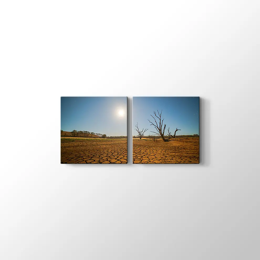 Kuraklık ve Çöl Kanvas Tablo