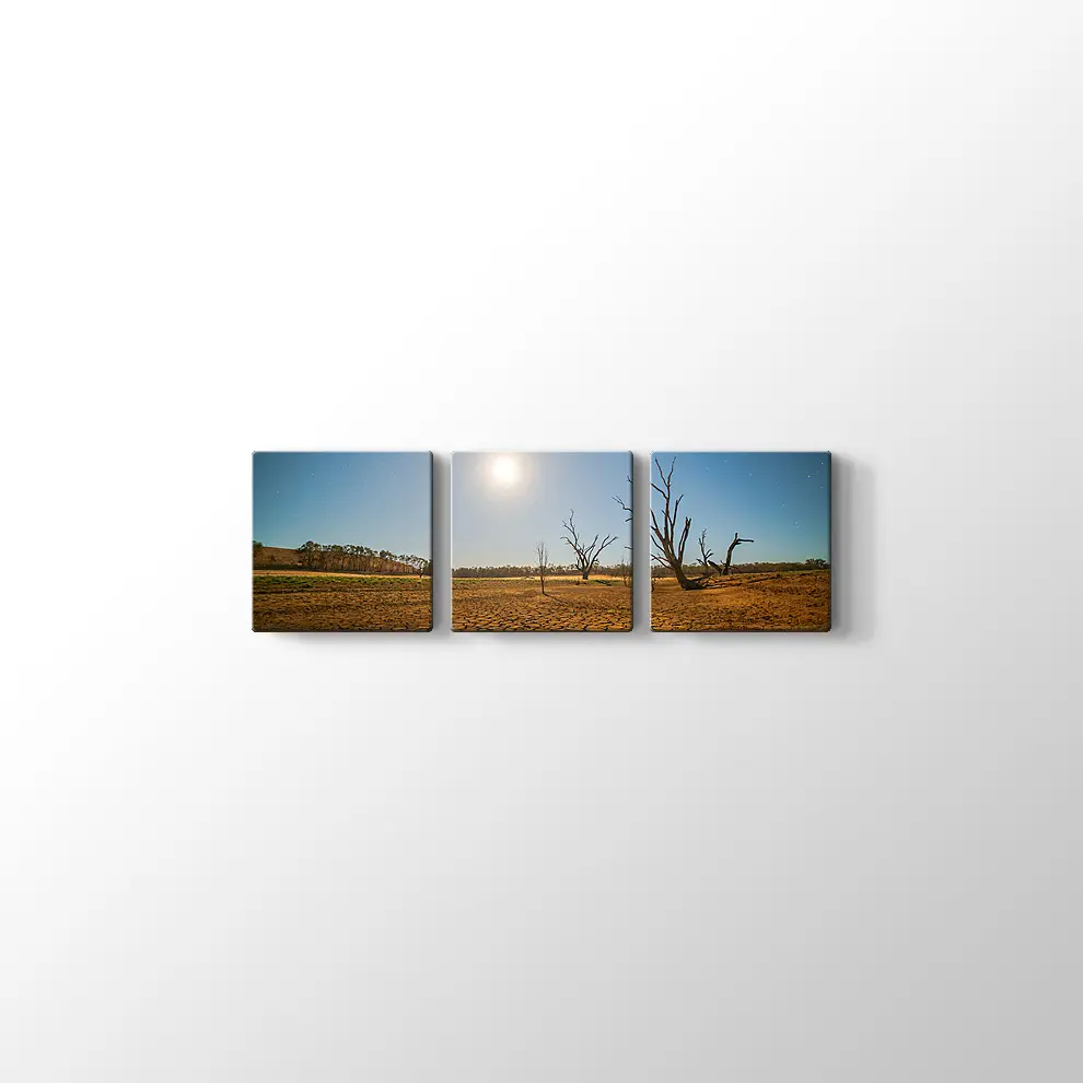 Kuraklık ve Çöl Kanvas Tablo