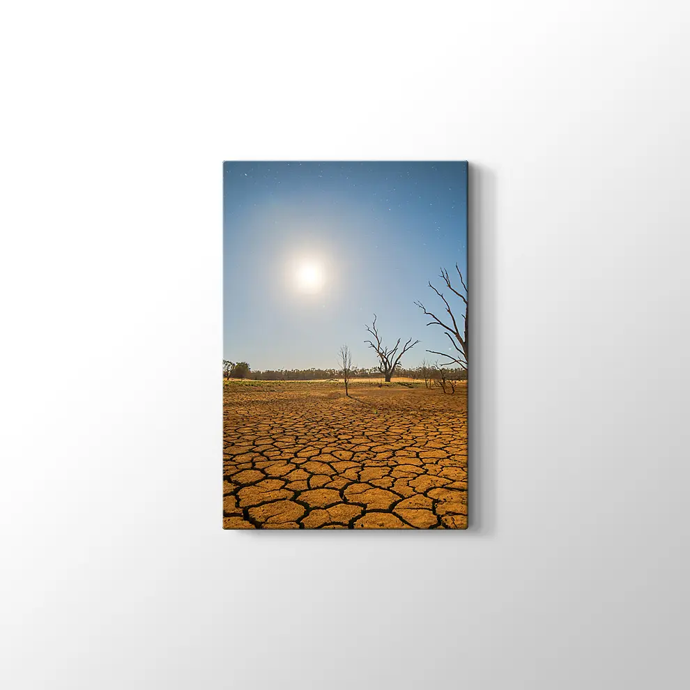 Kuraklık ve Çöl Kanvas Tablo