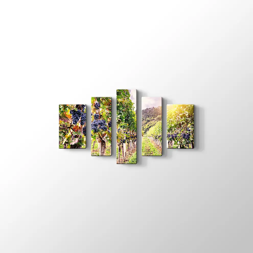 Üzüm Bahçeleri Kanvas Tablo