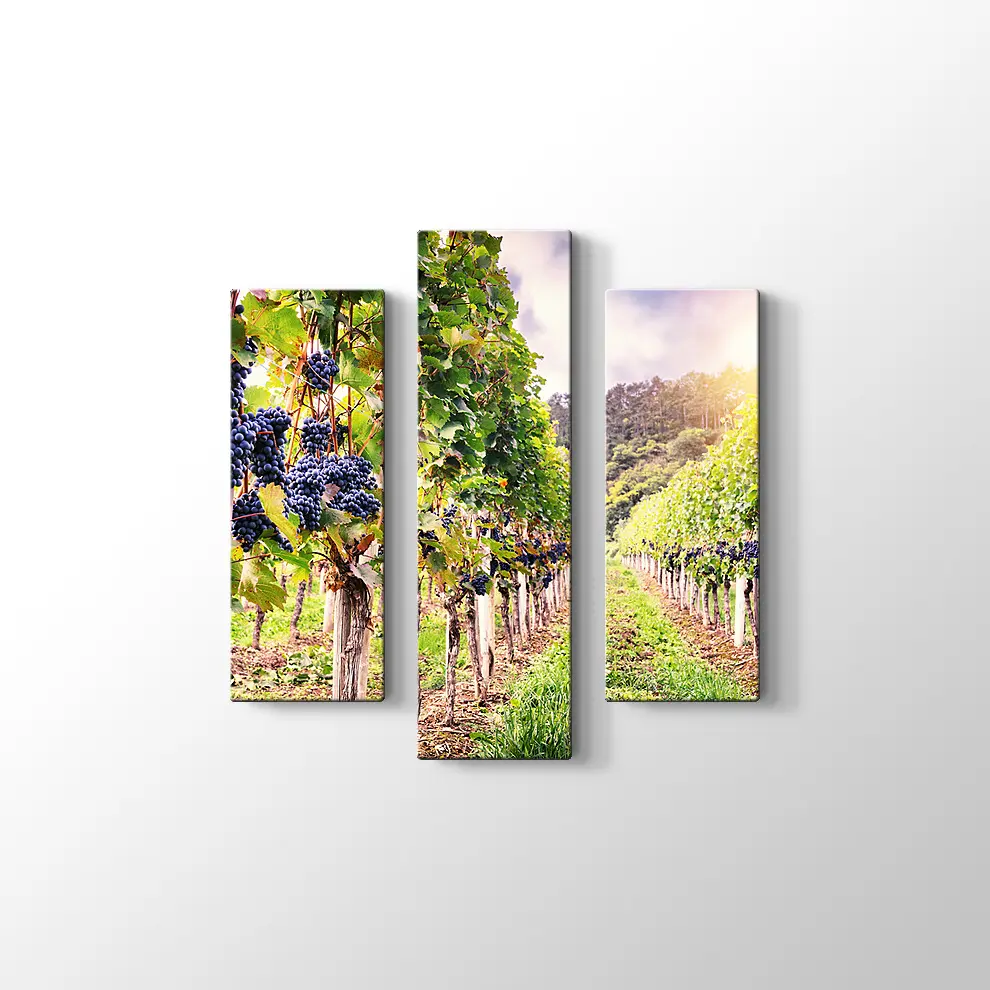 Üzüm Bahçeleri Kanvas Tablo