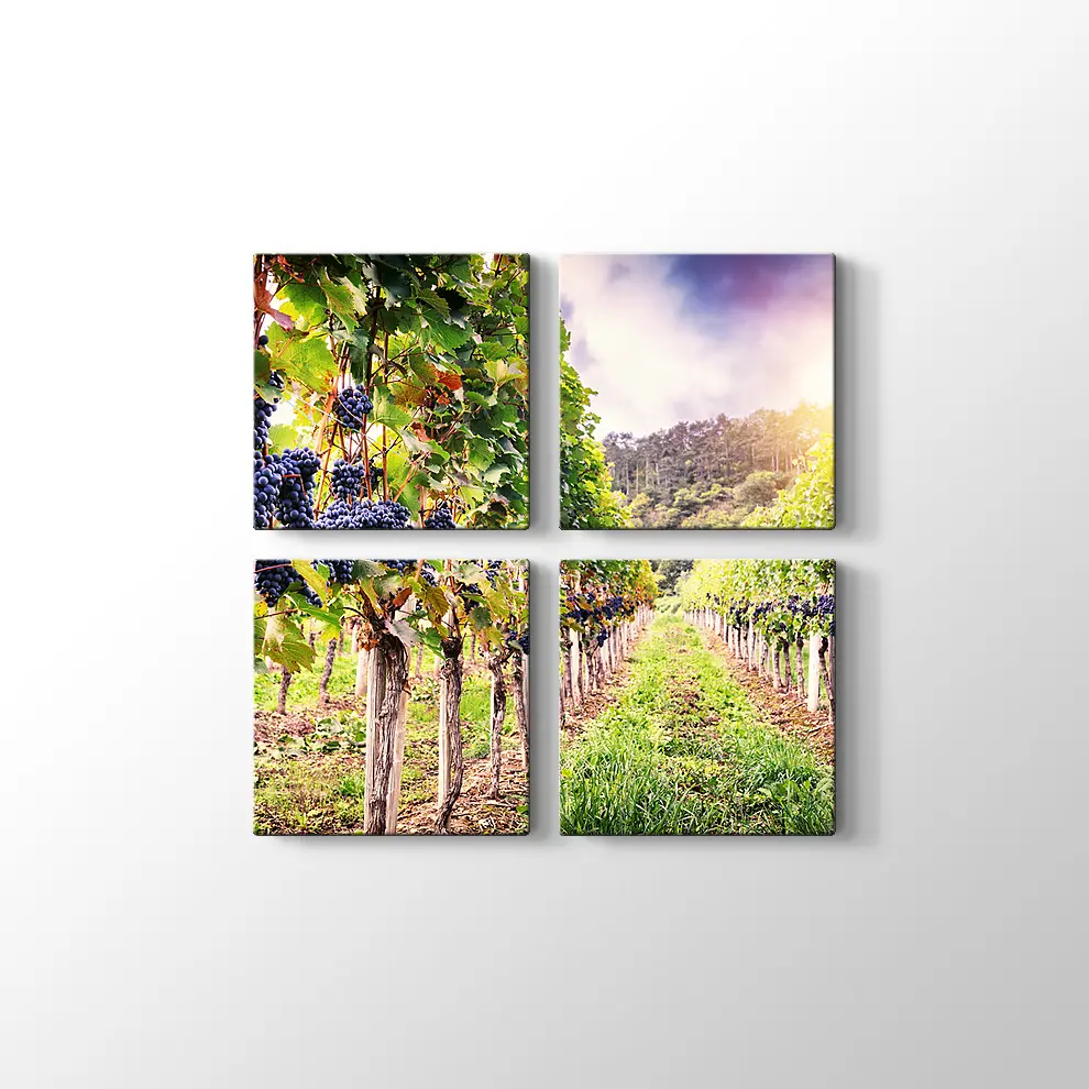 Üzüm Bahçeleri Kanvas Tablo