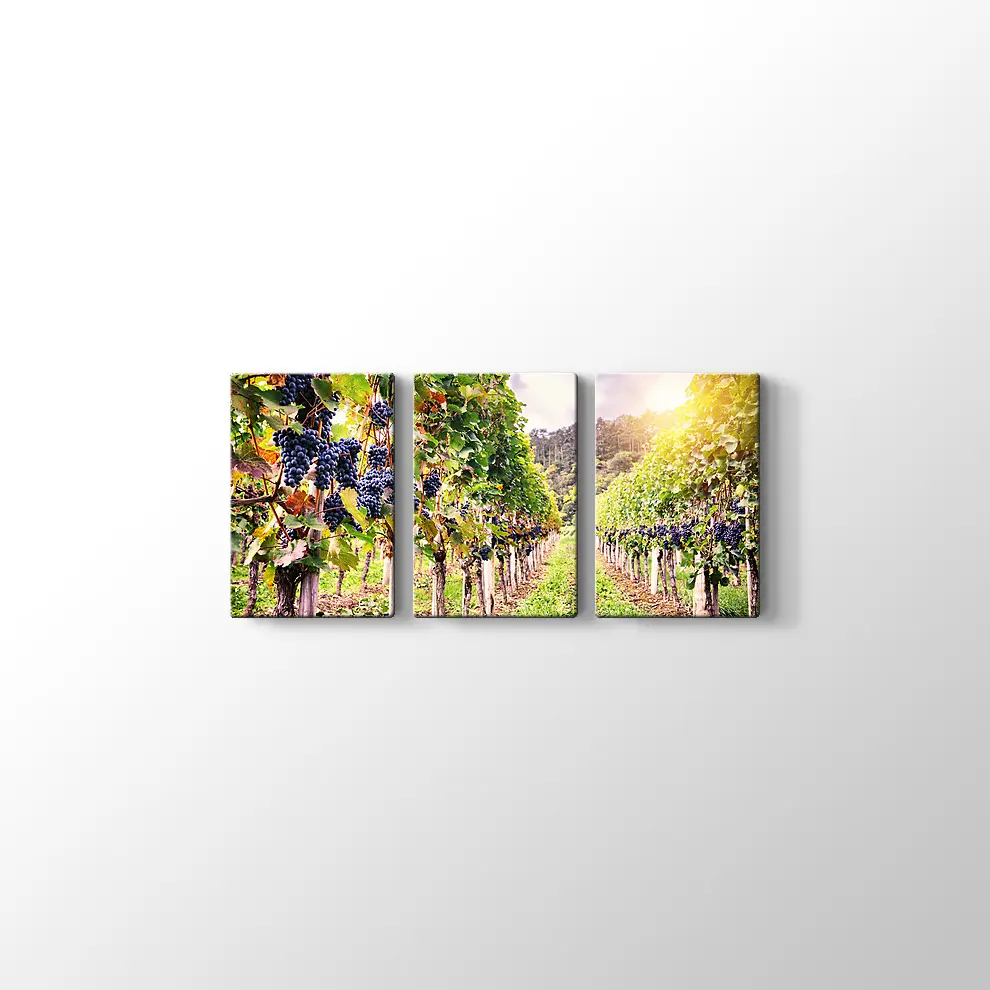 Üzüm Bahçeleri Kanvas Tablo