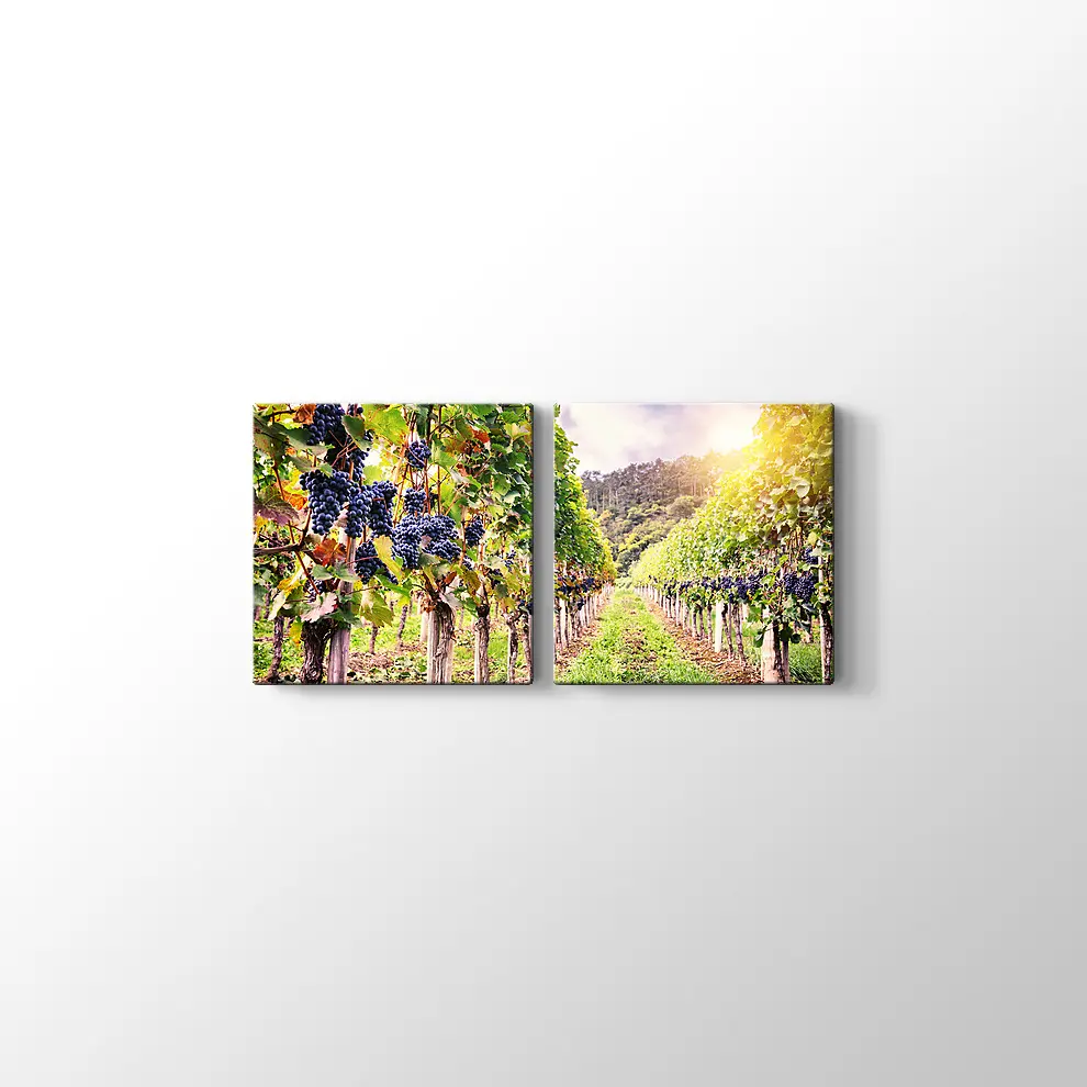 Üzüm Bahçeleri Kanvas Tablo