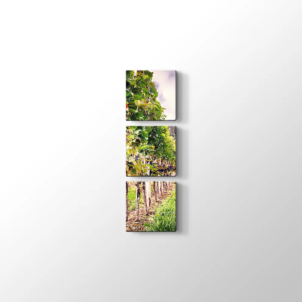 Üzüm Bahçeleri Kanvas Tablo