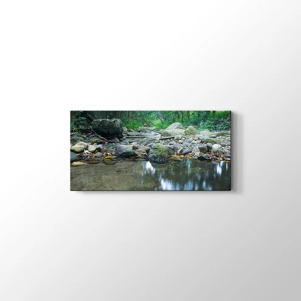 Dere Manzara Kanvas Tablo