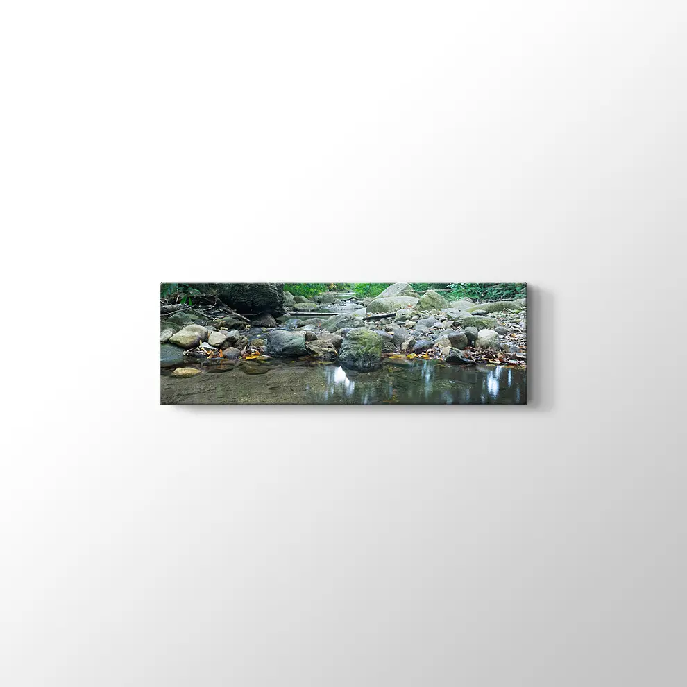 Dere Manzara Kanvas Tablo