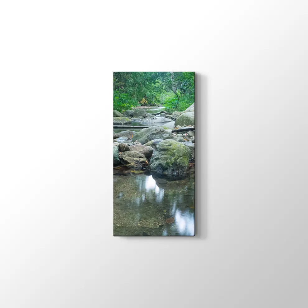 Dere Manzara Kanvas Tablo