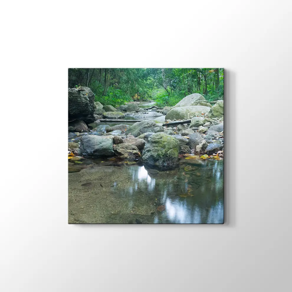 Dere Manzara Kanvas Tablo