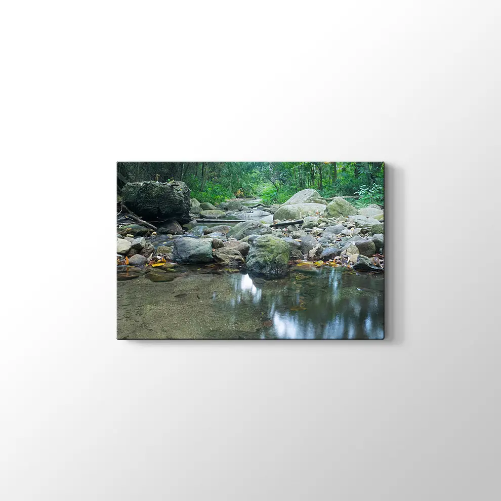 Dere Manzara Kanvas Tablo