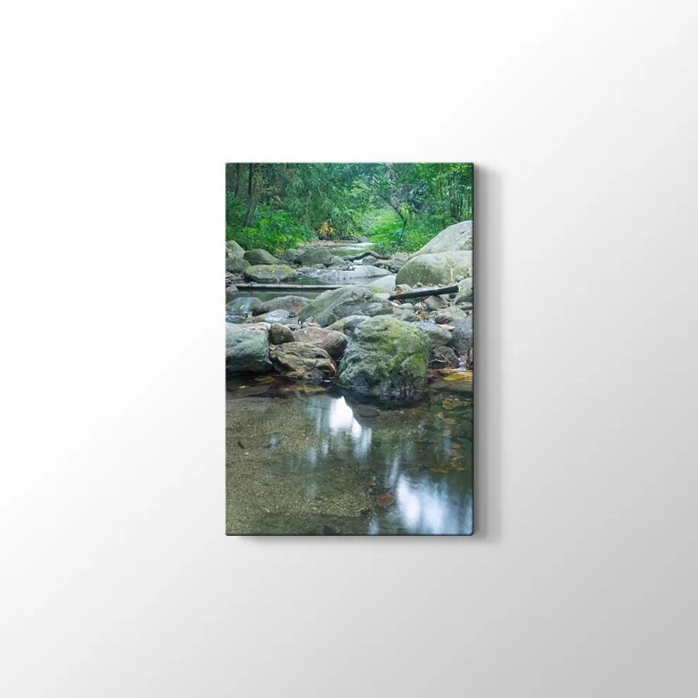 Dere Manzara Kanvas Tablo