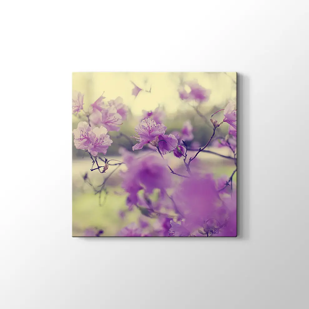 Bahar Çiçekleri Kanvas Tablo
