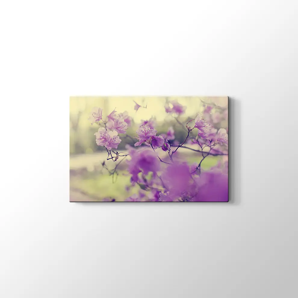 Bahar Çiçekleri Kanvas Tablo
