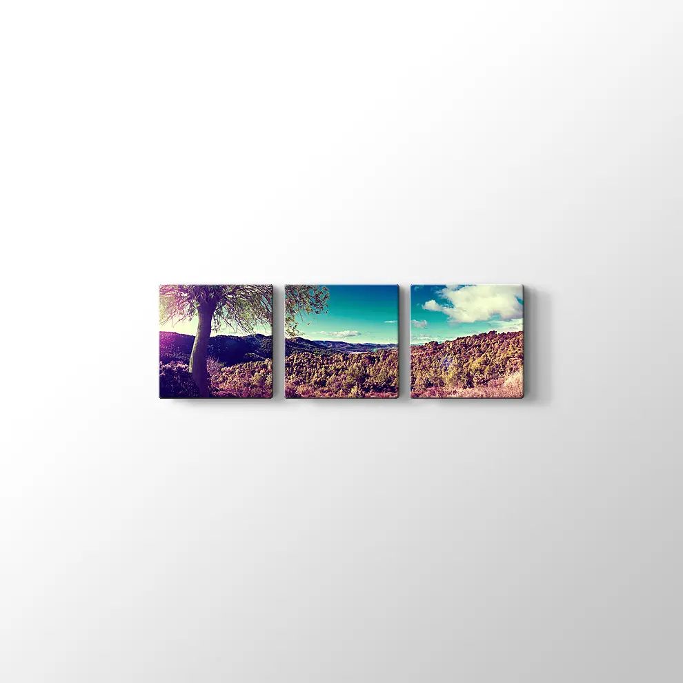 Günbatımı Panaroması Kanvas Tablo