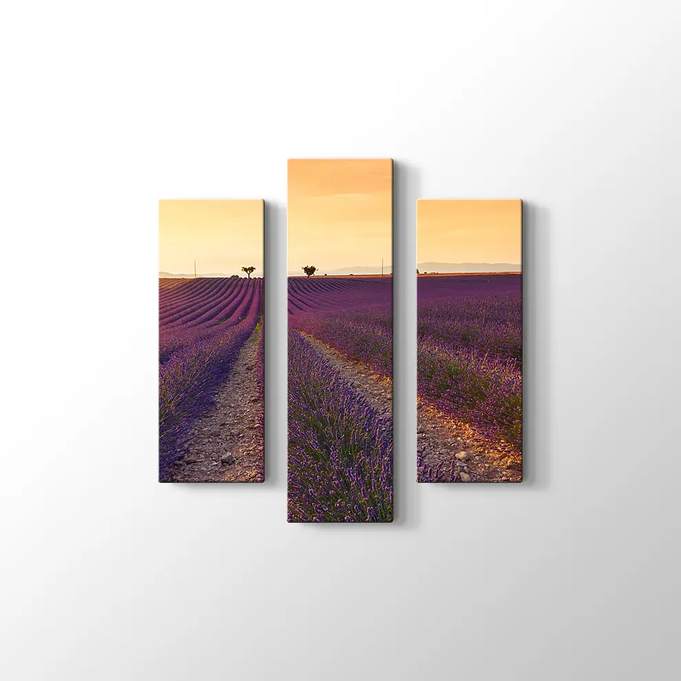 Lavanta Tarlaları Kanvas Tablo