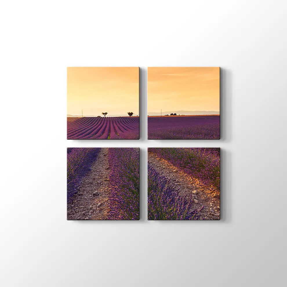 Lavanta Tarlaları Kanvas Tablo