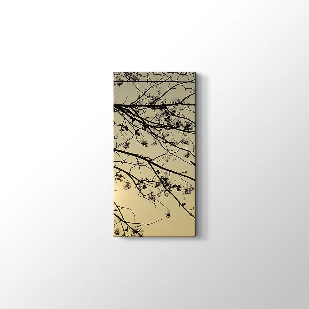 Günbatımı Kuru Ağaç Kanvas Tablo