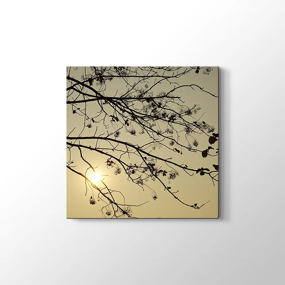 Günbatımı Kuru Ağaç Kanvas Tablo
