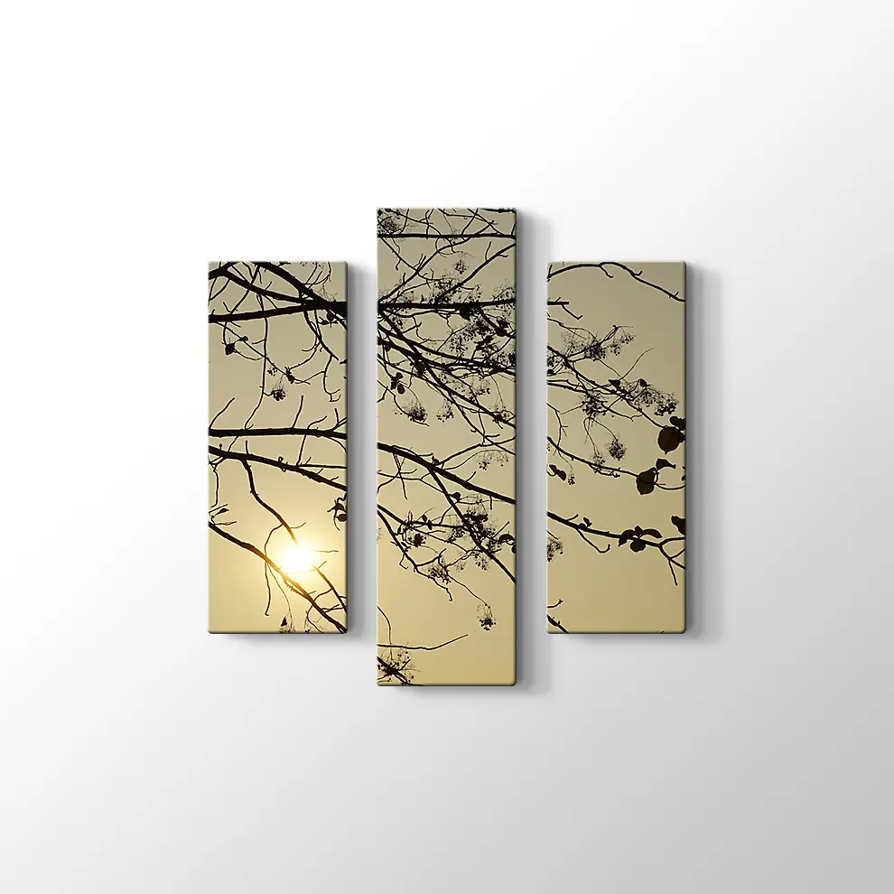 Günbatımı Kuru Ağaç Kanvas Tablo
