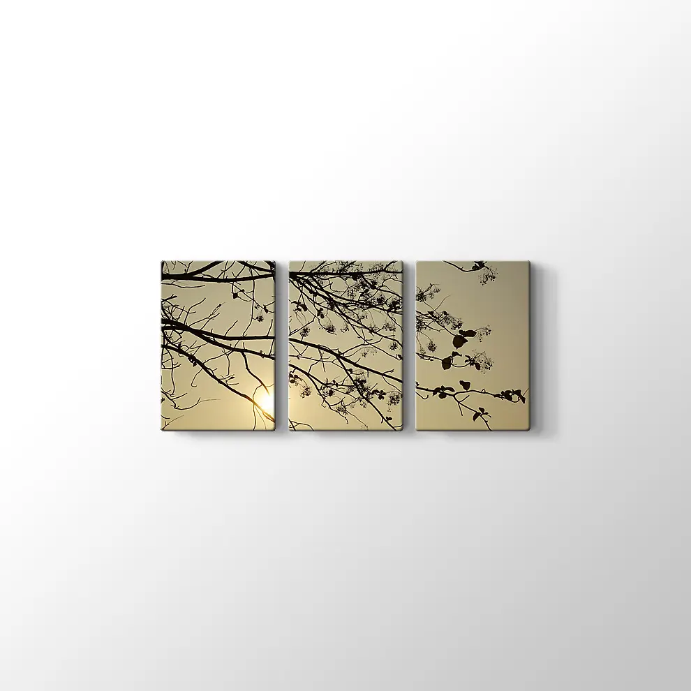 Günbatımı Kuru Ağaç Kanvas Tablo