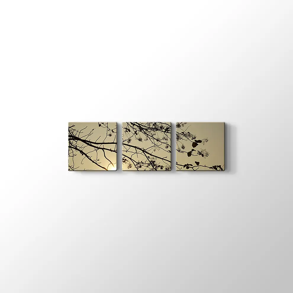 Günbatımı Kuru Ağaç Kanvas Tablo