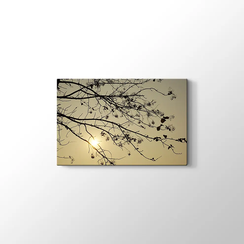 Günbatımı Kuru Ağaç Kanvas Tablo
