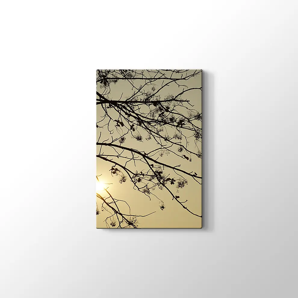 Günbatımı Kuru Ağaç Kanvas Tablo
