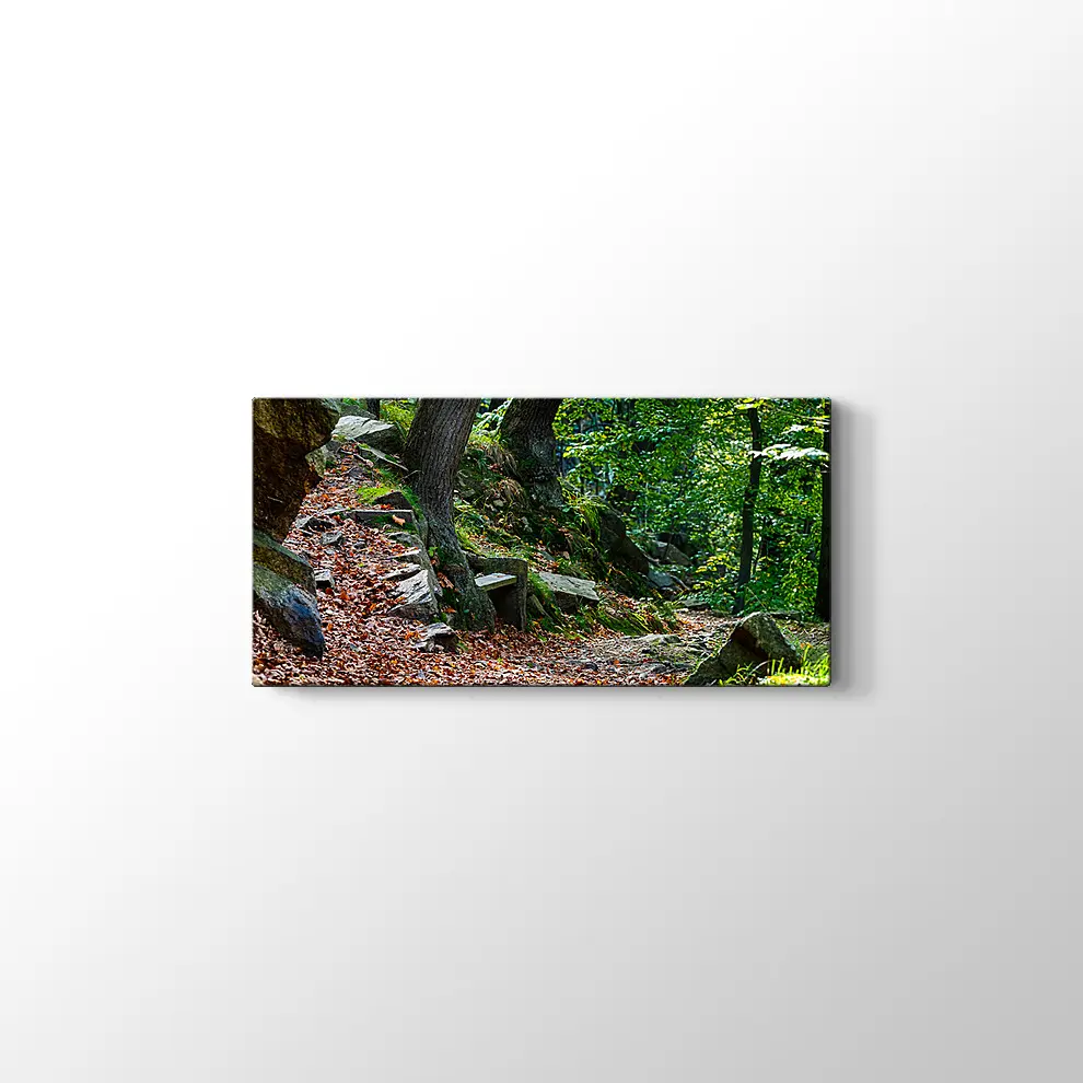 Bode Vadisi Kanvas Tablo