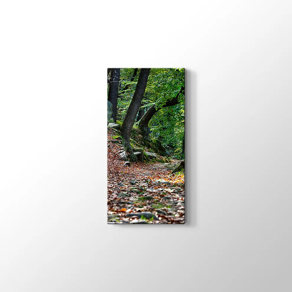 Bode Vadisi Kanvas Tablo