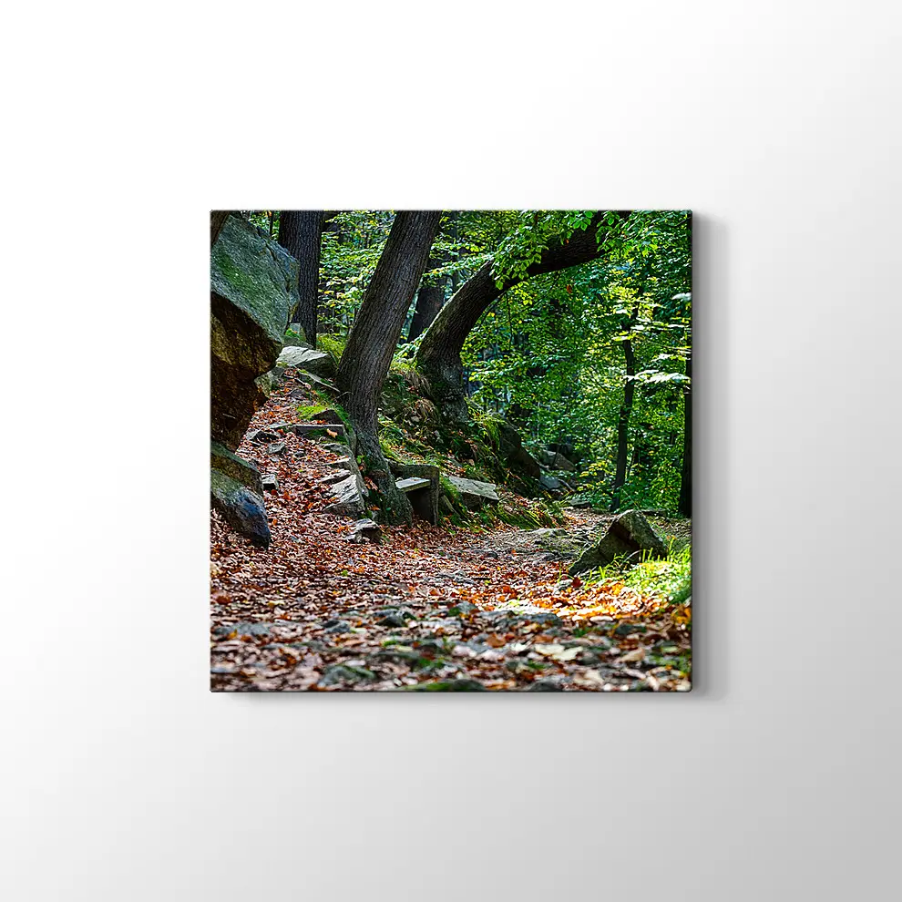 Bode Vadisi Kanvas Tablo