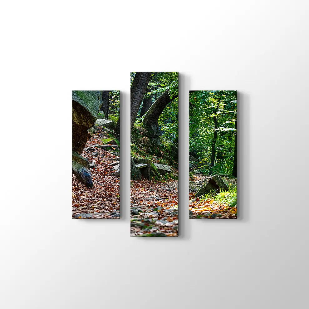 Bode Vadisi Kanvas Tablo