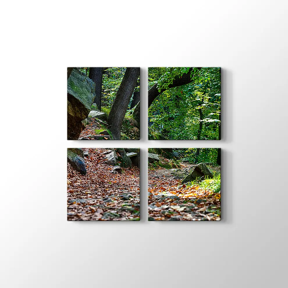 Bode Vadisi Kanvas Tablo