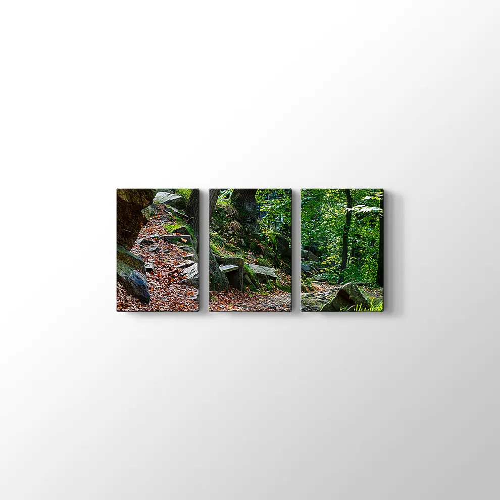 Bode Vadisi Kanvas Tablo