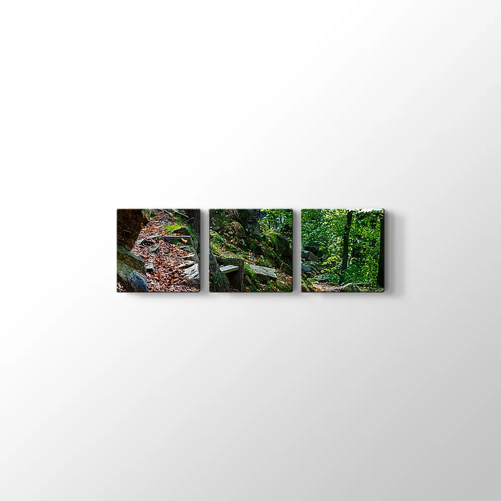 Bode Vadisi Kanvas Tablo